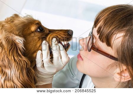 293