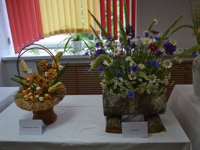 DSC 0810
