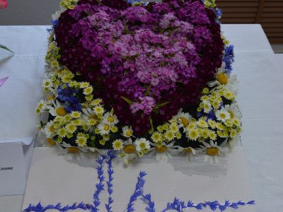 DSC 0811