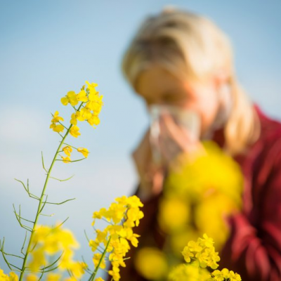 О весенней аллергии на цветение
